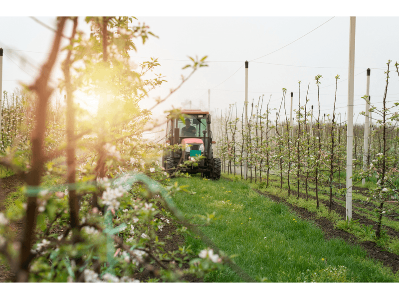 product Test annonceur photo